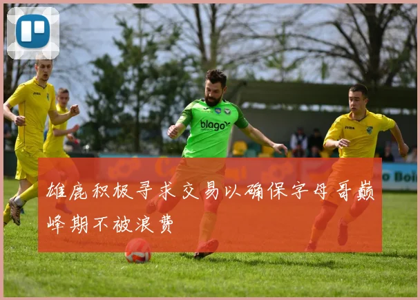 雄鹿积极寻求交易以确保字母哥巅峰期不被浪费